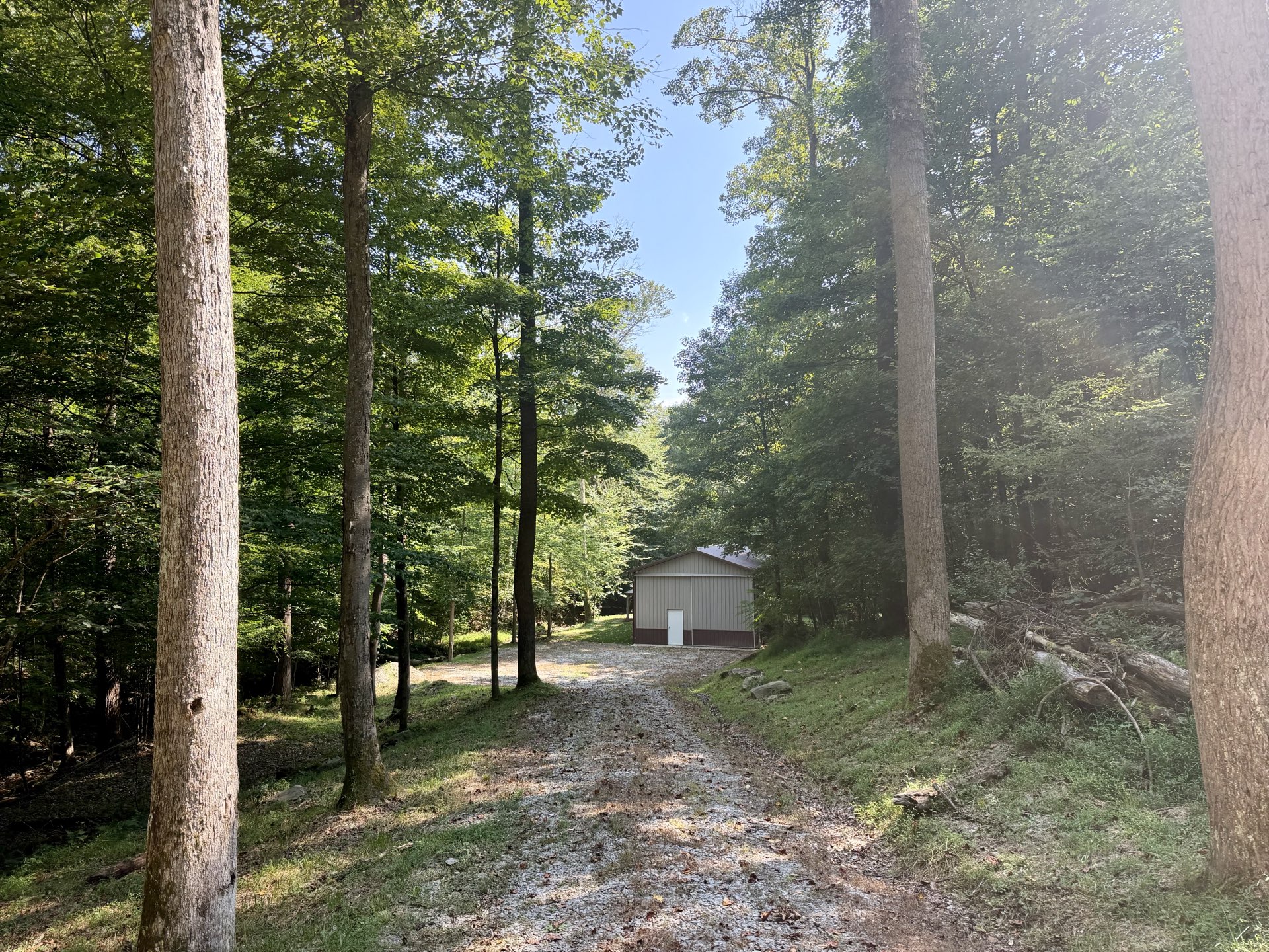 Gravel drive leading to the pole barn through the wooded property