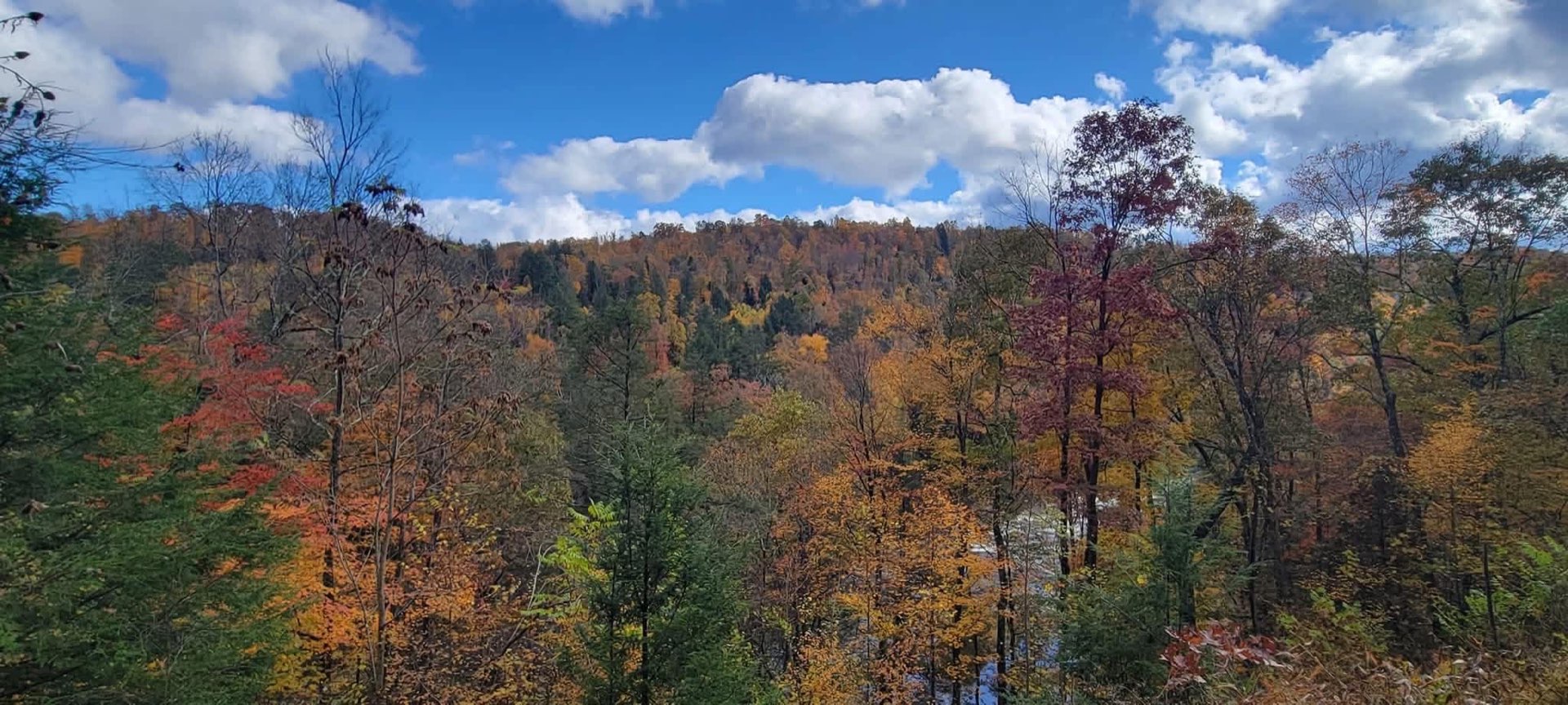 Mountain valley vista in fall color